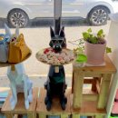 아뜰리에 궁 이미지