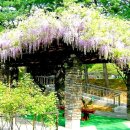 우현주유소 이미지