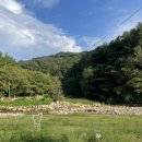 팔공모텔 이미지