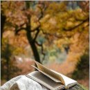스노우의원 - 고양시 일산동구 중앙로1261번길 61 | 스노우의원
