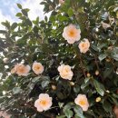 옥포의 땀 다시 일하고 살고 싶은 푸른항구 | 제주올레길 18코스