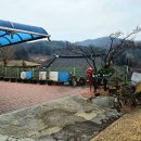 편백하우스 | 장성 펜션 축령산 편백숲 숙소 편백하우스 펜션 숙박후기│남도여행DAY1