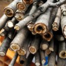 제명이 농장 이미지