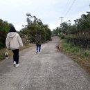 제주소소민박 이미지