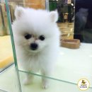 (주)홈플러스 일산점 이미지