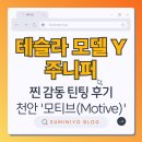 모티브(MOTIVE) | 모델 Y 주니퍼 롱레인지 인도 - 천안 테슬라 틴팅/PPF 모티브 후기