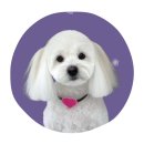 하얀이언니네 이미지