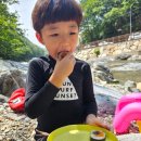 고봉민김밥인 부산화명점 이미지