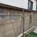 정희네 가게 이미지