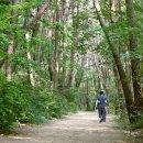 하늘재길 이미지