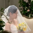 메모리아 | [W18]&#34;메모리아 스냅&#34; 대전 아이폰 스냅 라포르테 본식 후기, 내돈내산 적극 추천