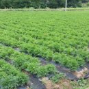 딱경희한의원 이미지