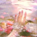 신비소리 이미지