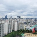 대치스카이공인중개사사무소 이미지