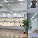 마리켄넬 이미지