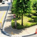 오스타 파라곤 아파트 단지안도 시공 후기