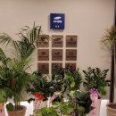 고현서울삼성정형외과의원 | 거제 고현서울삼성정형외과의원