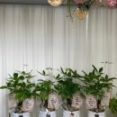 하늘꽃향기착한꽃집 이미지