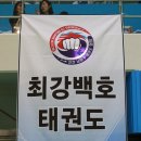 최강 백호 태권도장 이미지
