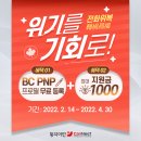 PNP 이미지