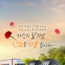 한국타이어TBX 이미지