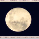 백제왕겨 이미지