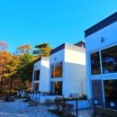 보나의언덕 이미지