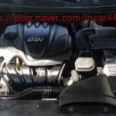 비아 매일카 이미지