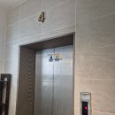 몸그리다 | [강남구] 필라테스 그리다 선릉 후기: 4:1 그룹레슨 · 체형교정 · 아침수업 · 샤워실 완비