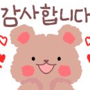 가자 대광어회 이미지