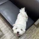 디자인에스 이미지
