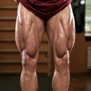 LEG 근육의 기능와 운동 이미지