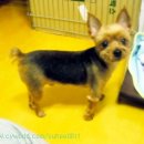 대전오류초등학교 이미지