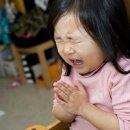 태한세탁 | 10월 대운동회 가보자고 (ft.농놀, 이웃과 교류하는 성장한 오타쿠, 벌 소동, 교동짬뽕)