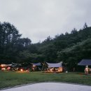 휘게포레스트 이미지