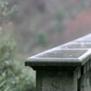 보 슬 비 이미지