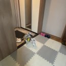 남창애견 | 울산 덕신 남창 애견훈련 분리불안 짖음 행동교정 후기