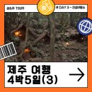 산양마을(주) | 제주 산양큰엉곶 용머리해안_ 4박5일(3)