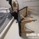 노블맘홈케어산후케어천안아산지사