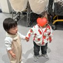 도레미 | 도레미팡팡 주말 원데이문센 19개월 ‘도레미격파왕’ 후기