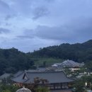 뽑아브러 이미지