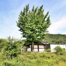 서원생고기 이미지