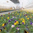 함양군농업기술센터 이미지