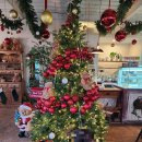 땡큐베리(Thankyou berry) 이미지