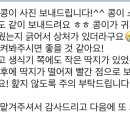 헬로우버디 판교밸리점 이미지
