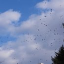 익산시민공원 이미지