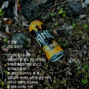 깡통