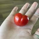 희원농장 이미지