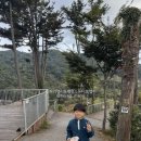 무릉도원 | 가평 무릉도원 캠핑장 후기 _ 애견동반, 초등 가족 캠핑장 추천