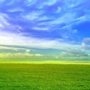 그림나라 이미지